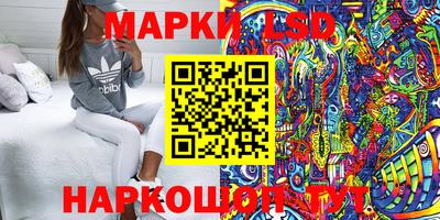 apvp Кунгур