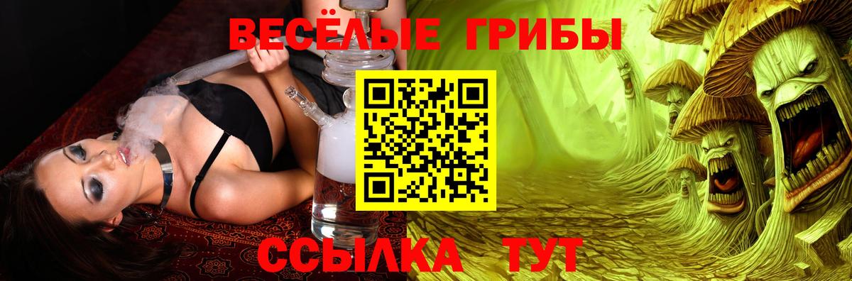 Псилоцибиновые грибы Psilocybe Кировск
